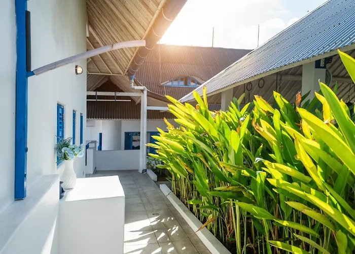 Bali Bio Konukevi
